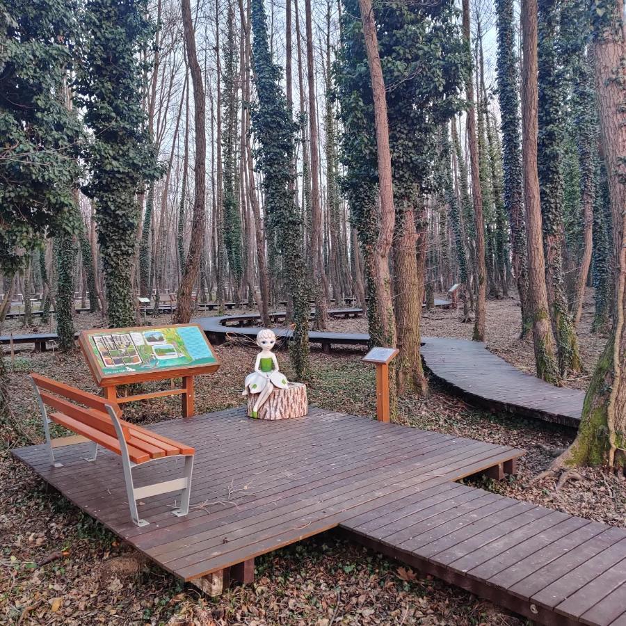 Orchidea Wellness Apartman Zalakaros Exterior foto